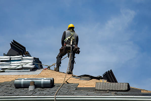 Professional Storm Damage Roof Repair technician working in Lincoln, AR